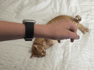 Apple Watch Raise