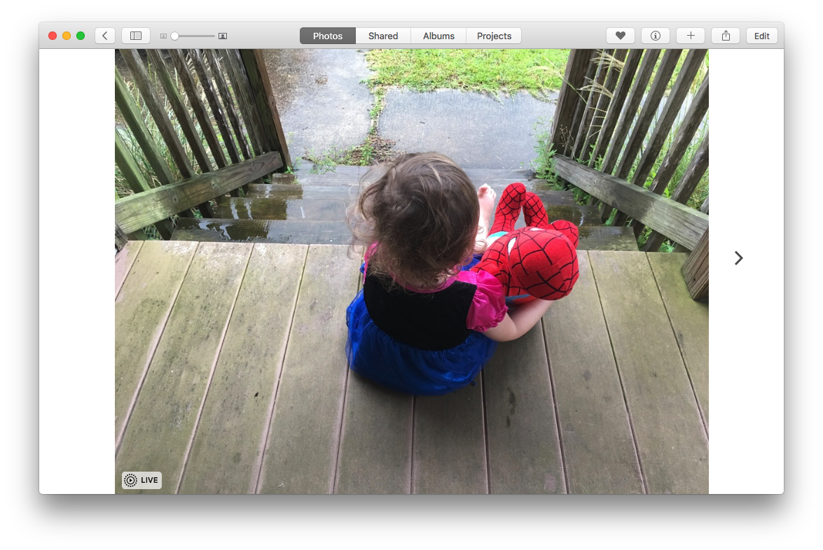 Live Photos El Capitan