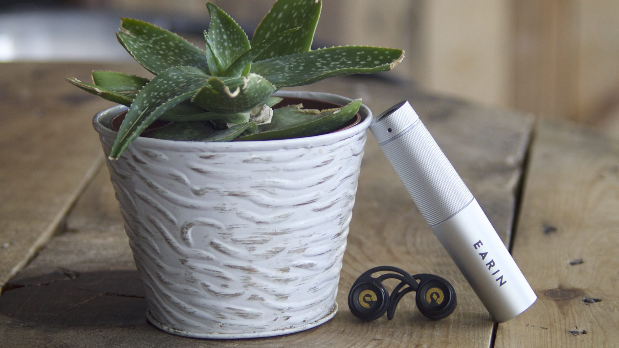 earin-true-wireless-earbud-capsule-alongside-plant