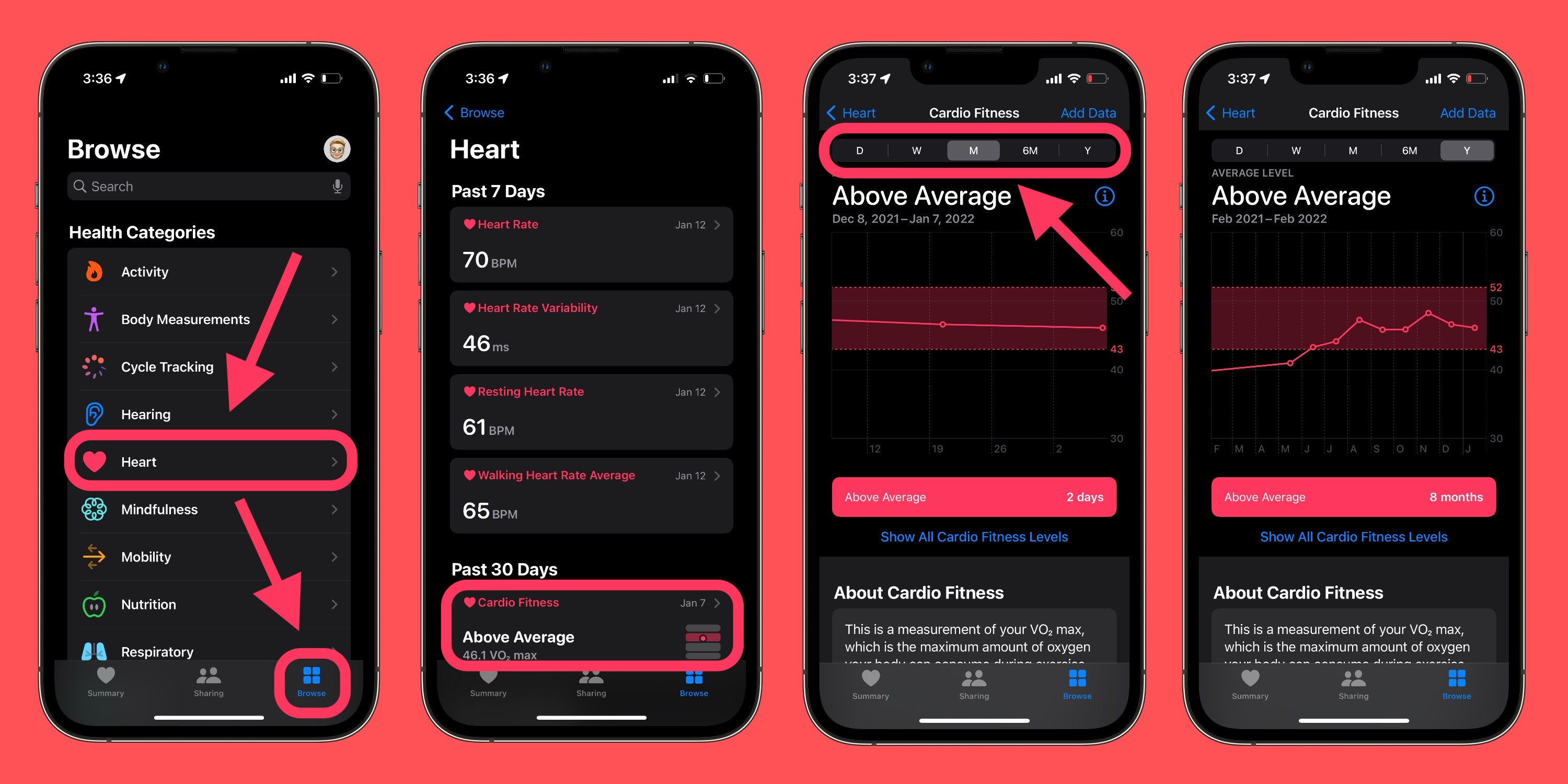 Here’s how and why you should set up Cardio Fitness on Apple Watch and iPhone How to view VO2 Max with Apple Watch and iPhone walkthrough 2
