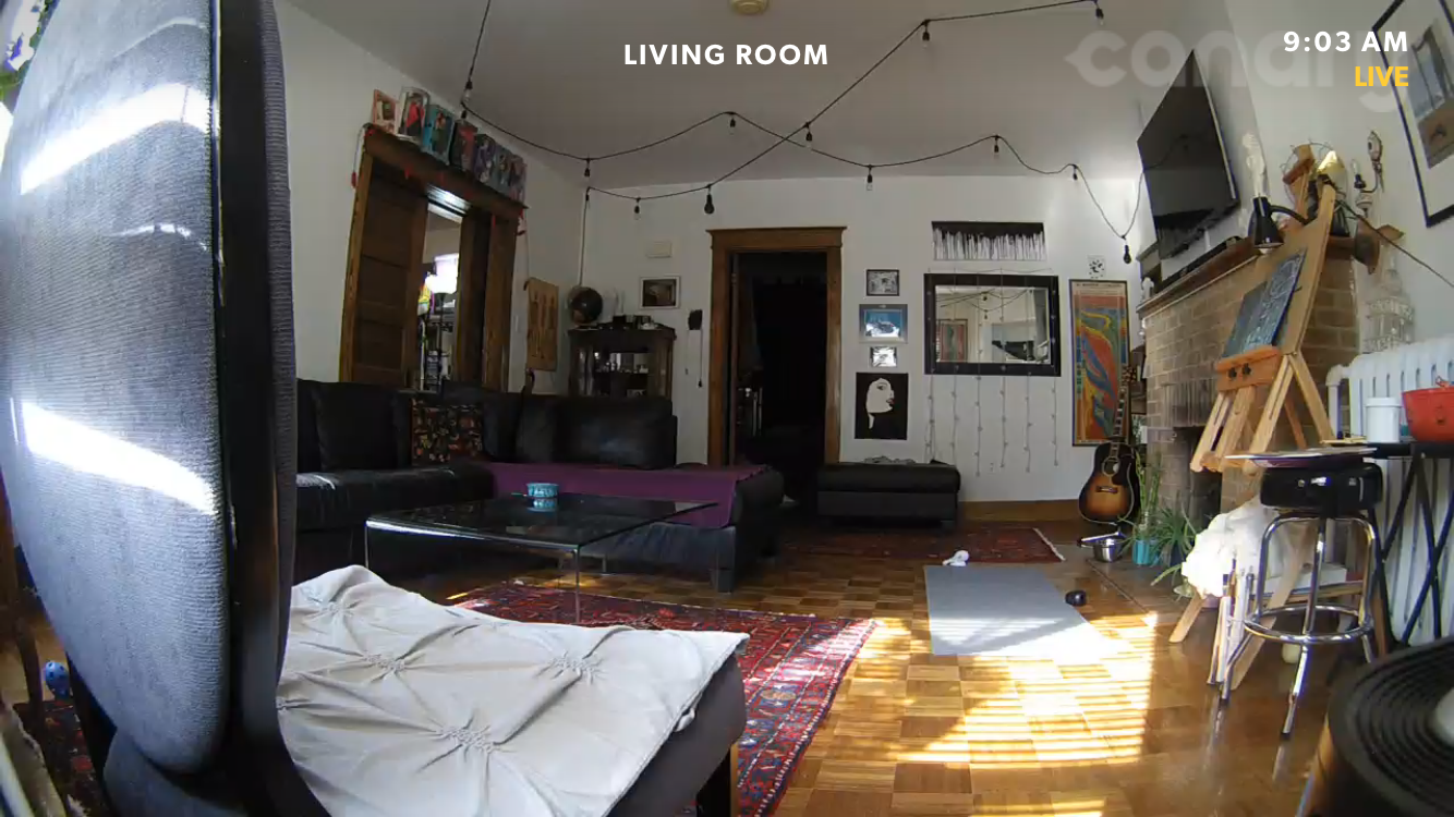 Canary-Screenshot-iOS-05