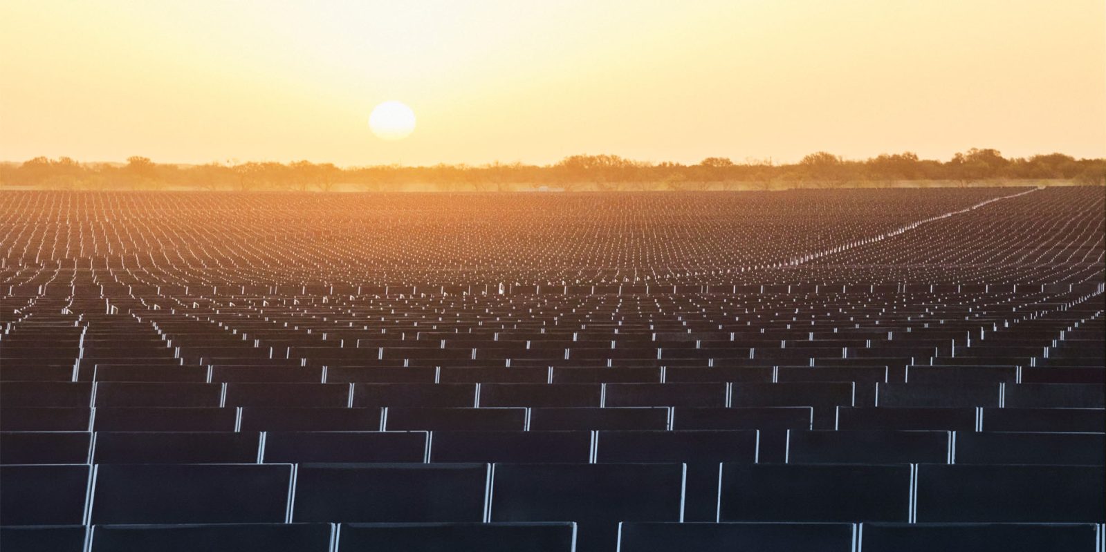 Backlit sunset photo of large solar farm | Apple supply chain doubled its use of clean energy last year