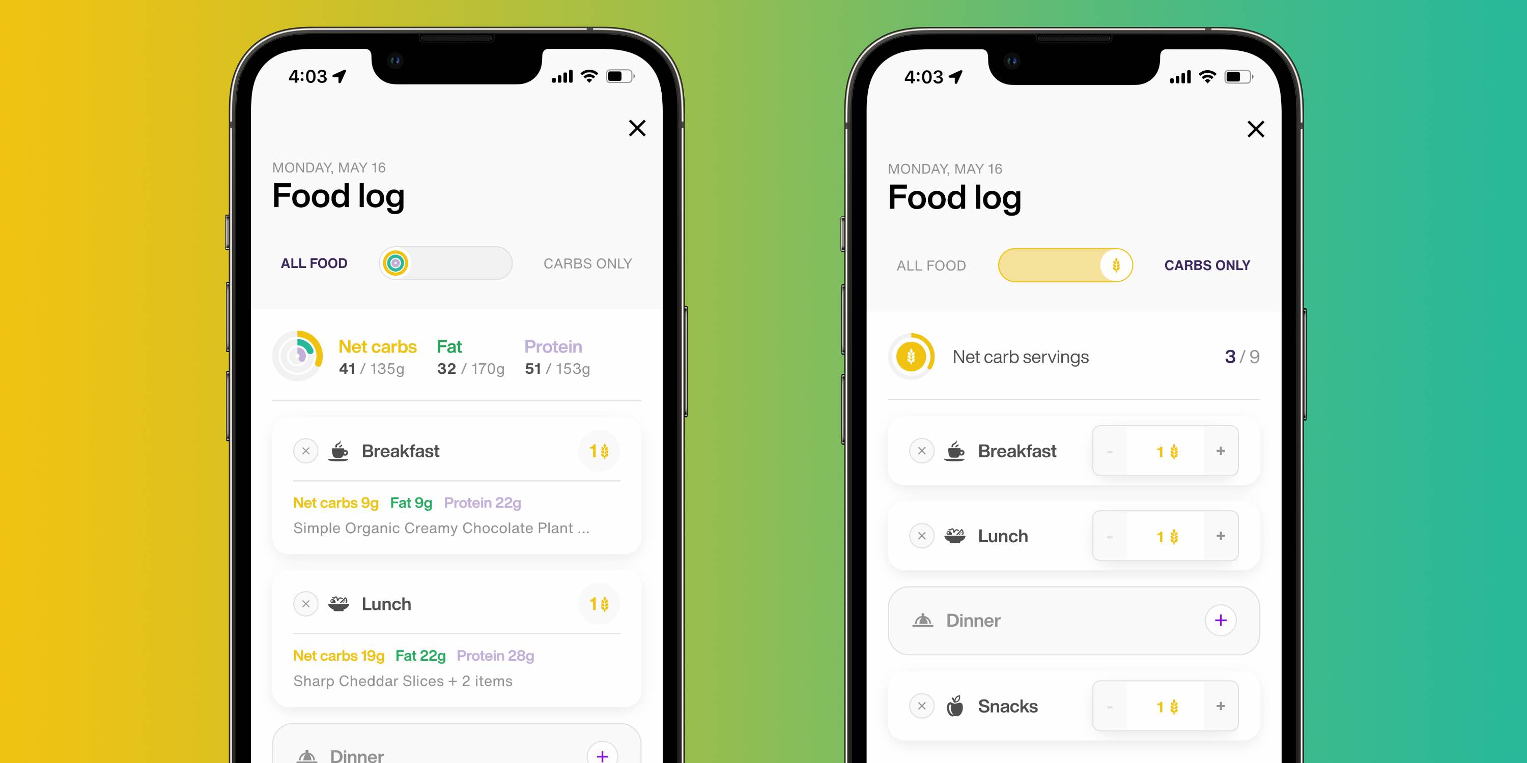 review Lumen metabolic analyzer food log