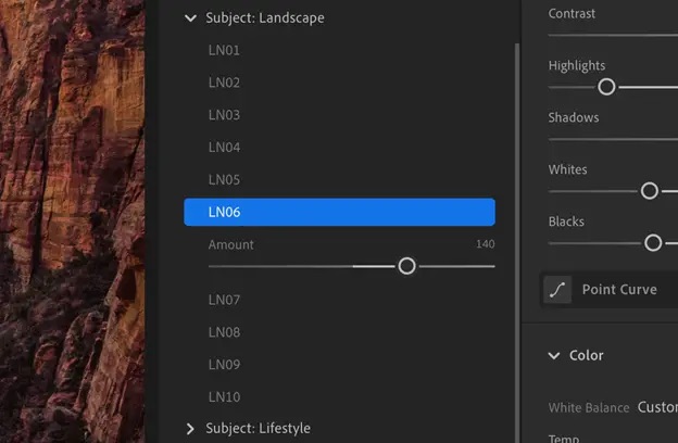 Adobe Lightroom presets