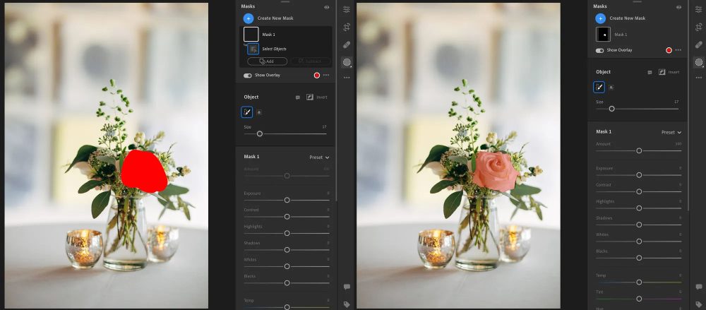 Brush Select tool in Adobe Lightroom