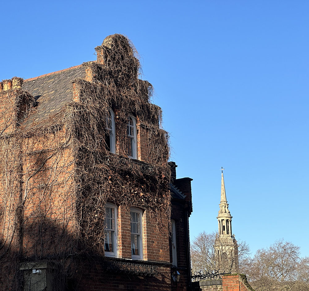 Ivy-covered building