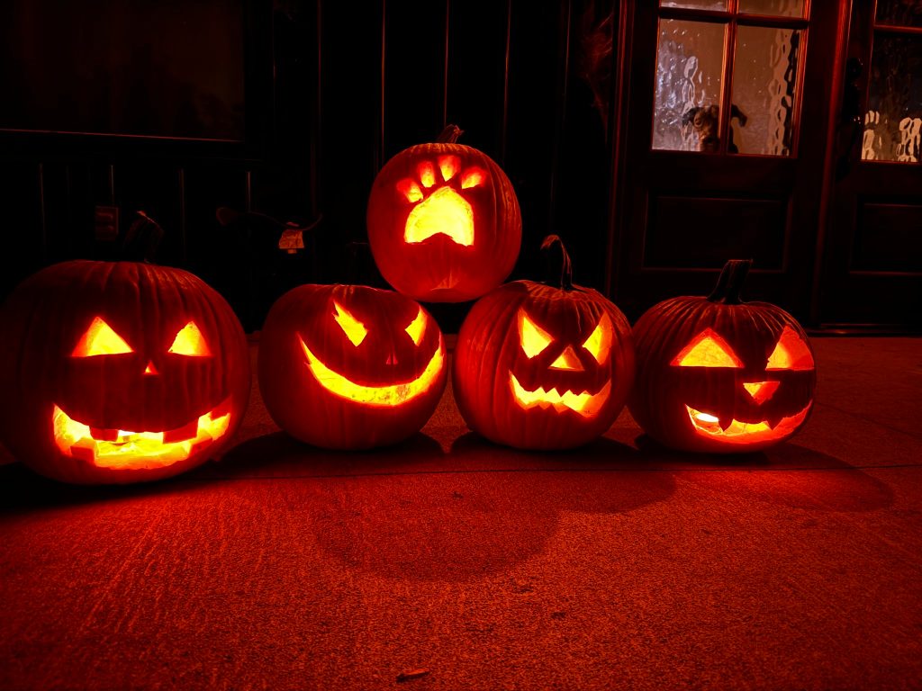 how to turn on night mode iphone 15 pro camera