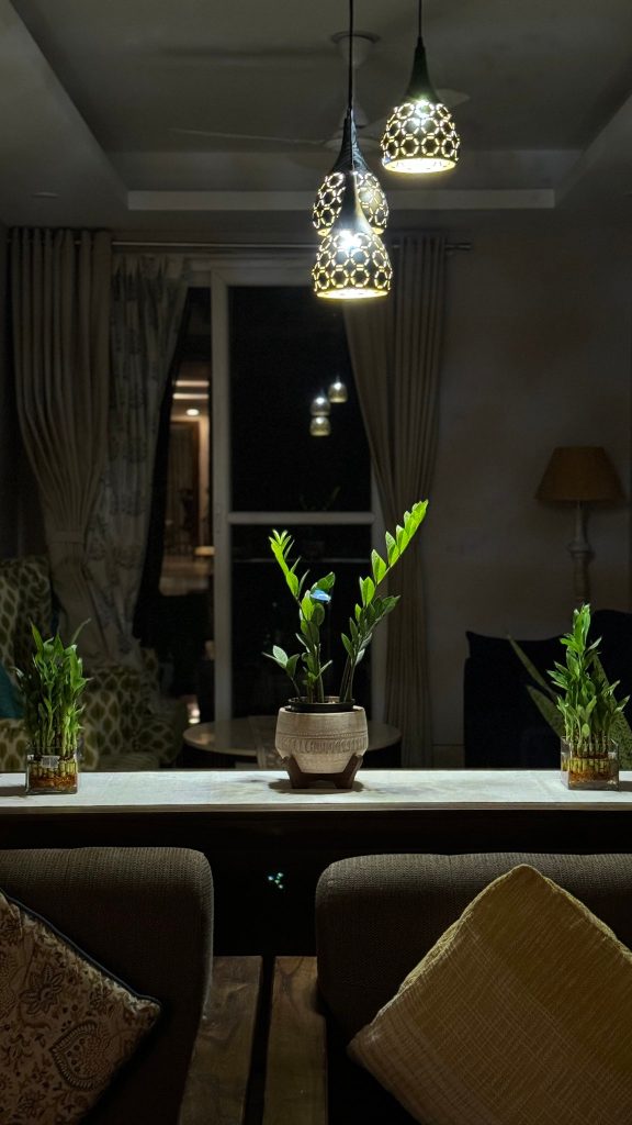 iPhone 15 Pro camera