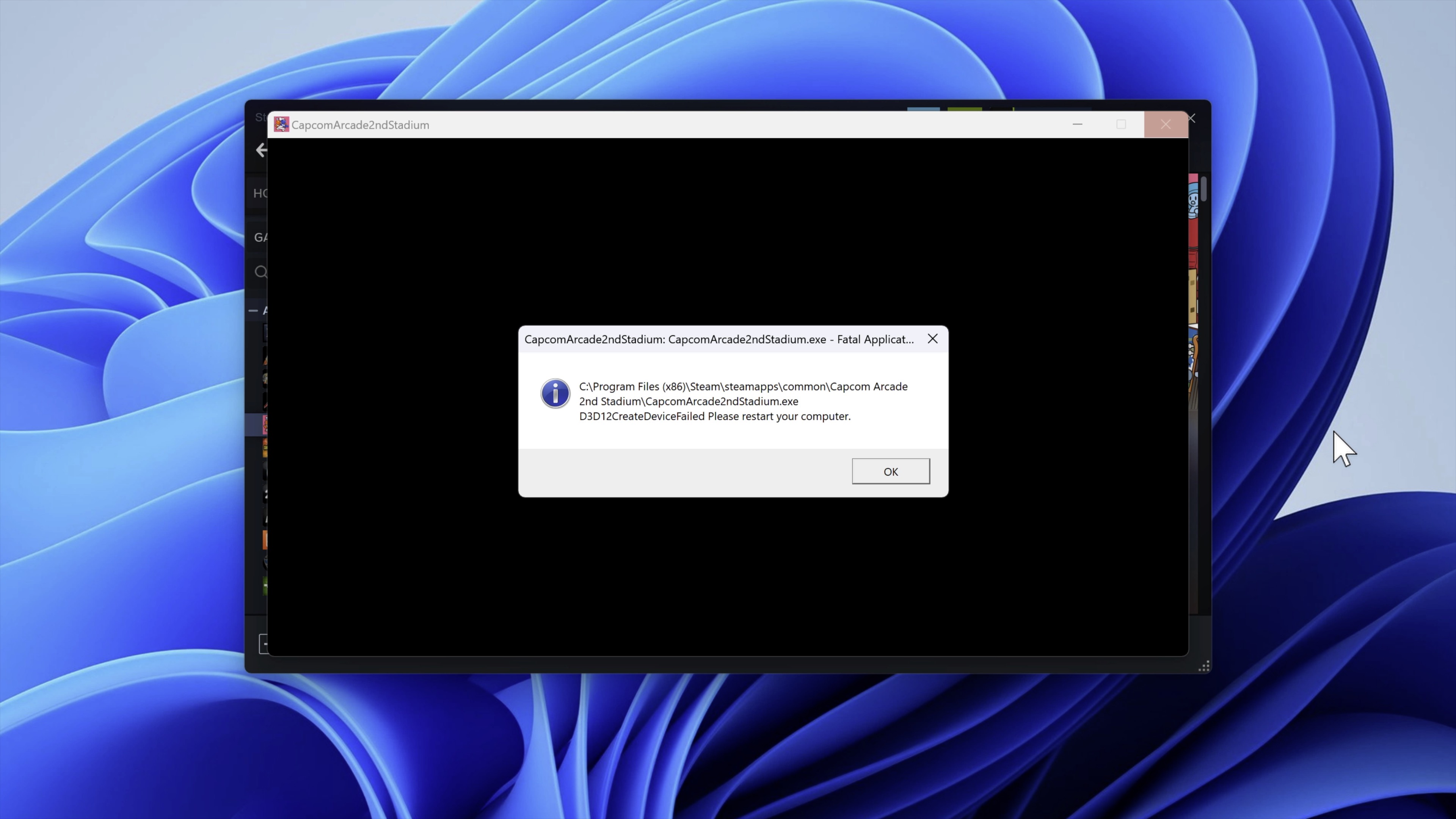 Attempting to run a game that requires DirectX 12 will result in an error.