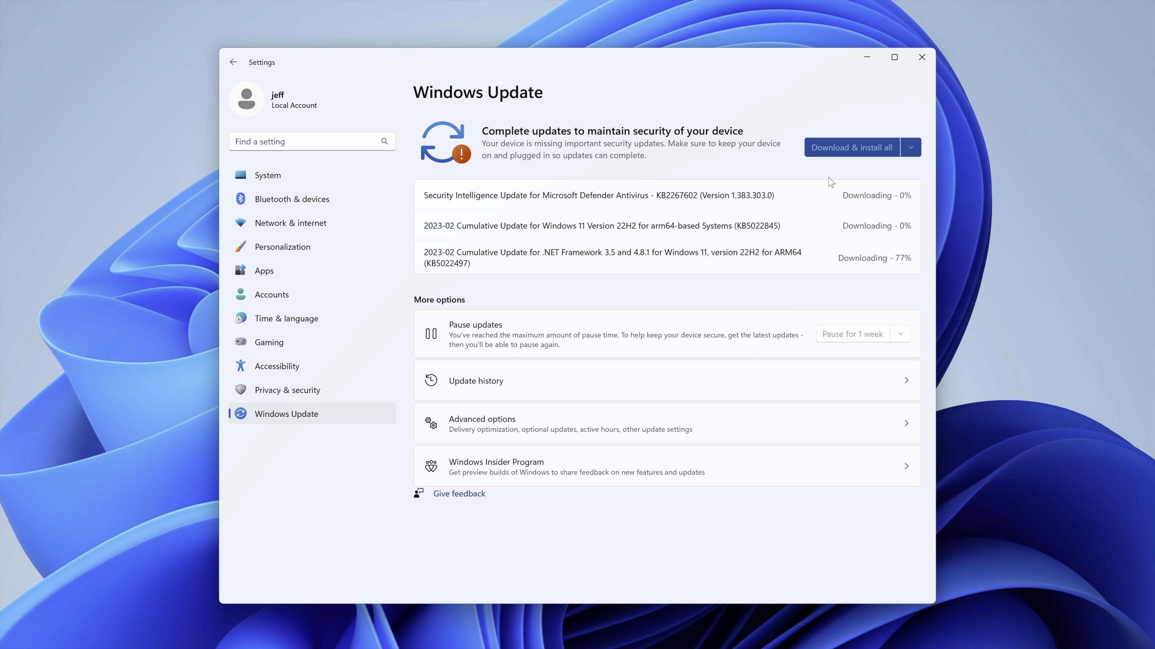 Windows Update interface in Windows 11 settings.