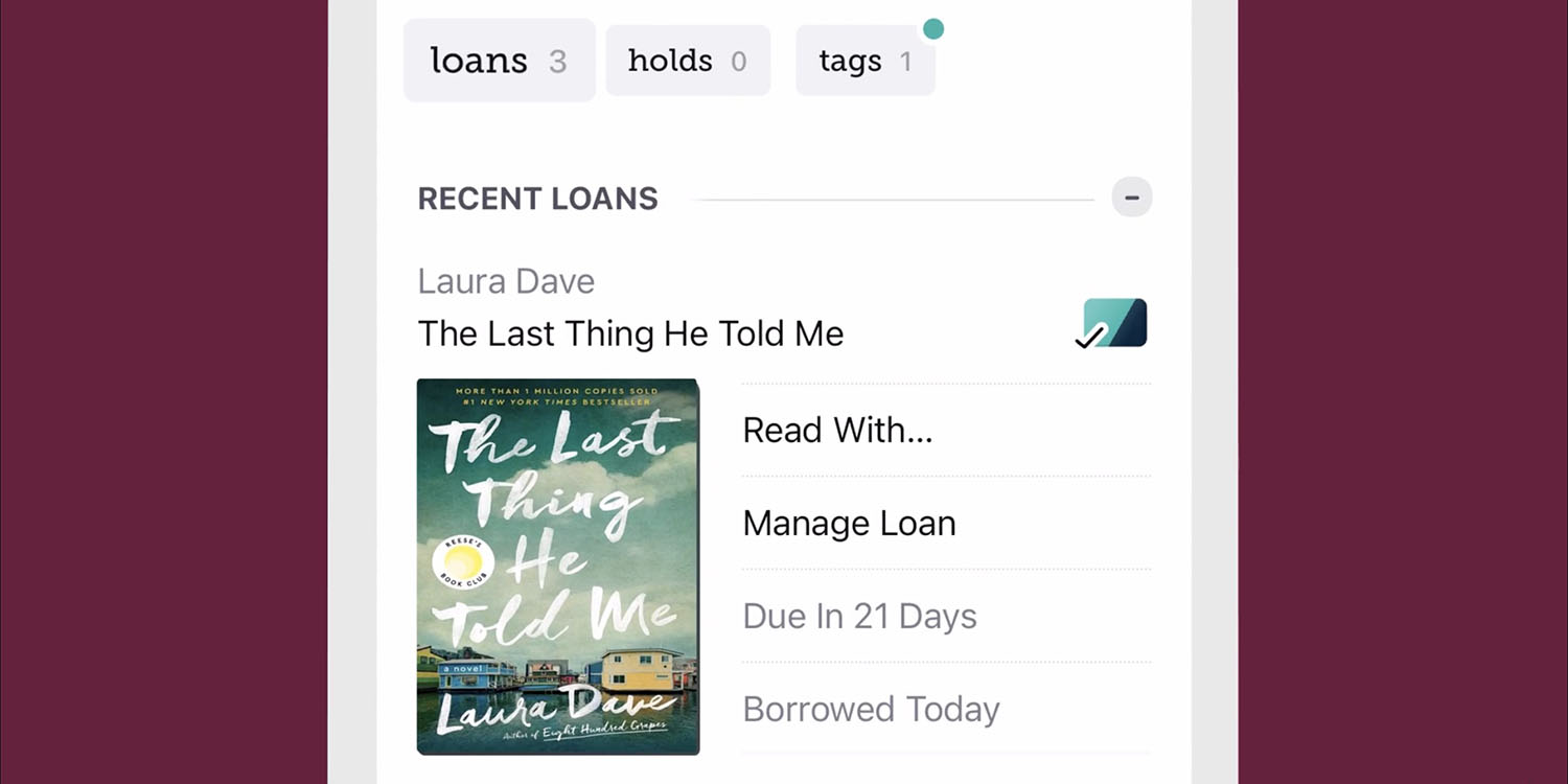 Borrowing ebooks with Libby