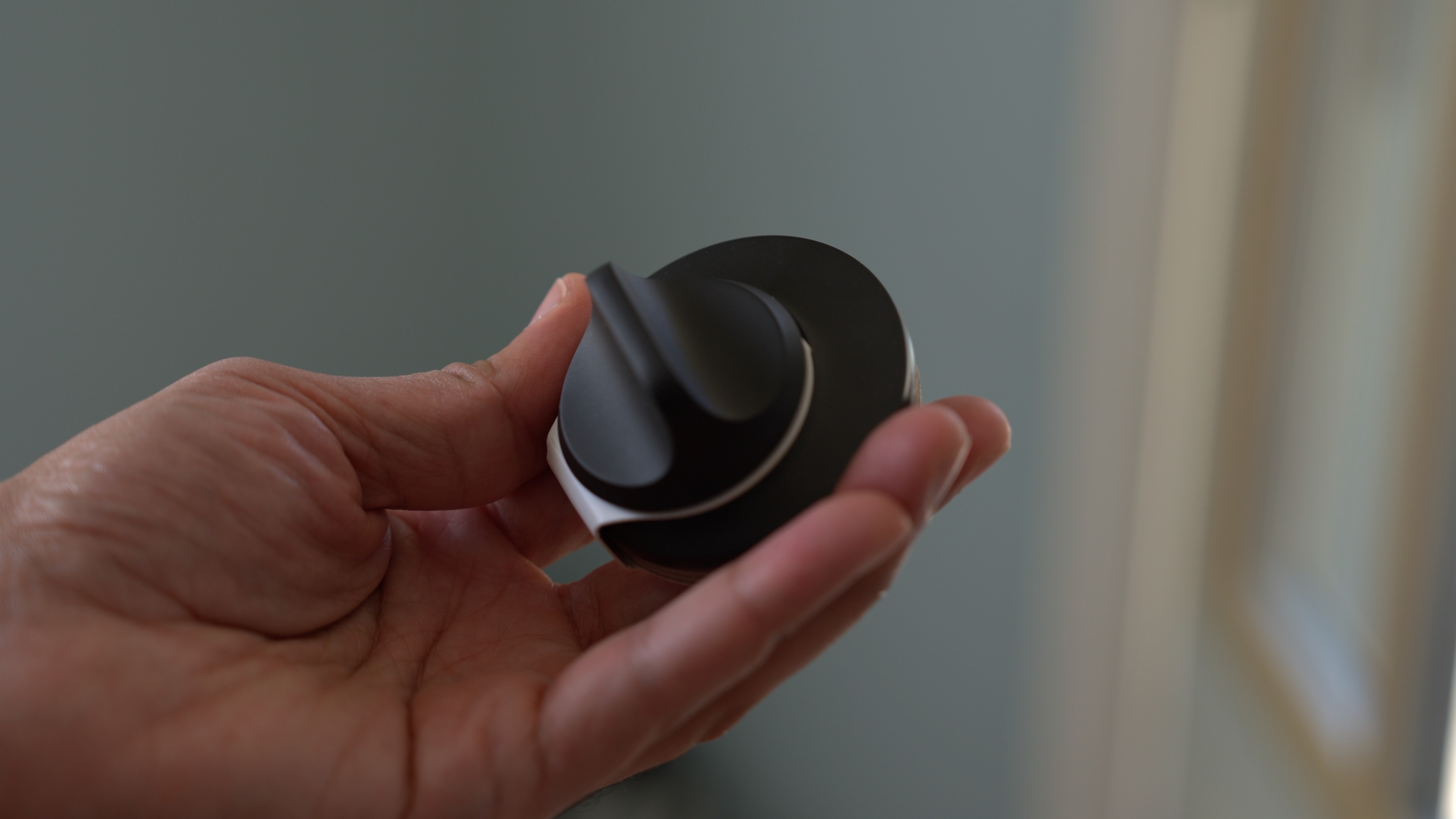 Level Lock+ paddle housing.