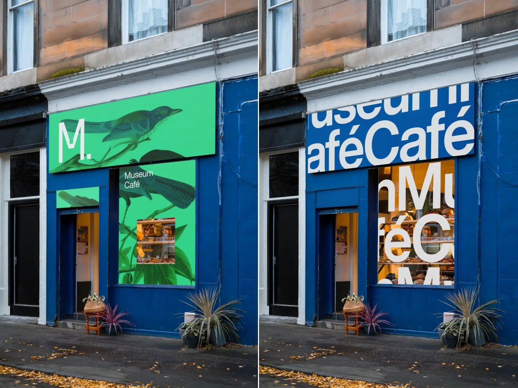 LiveSurface storefront example