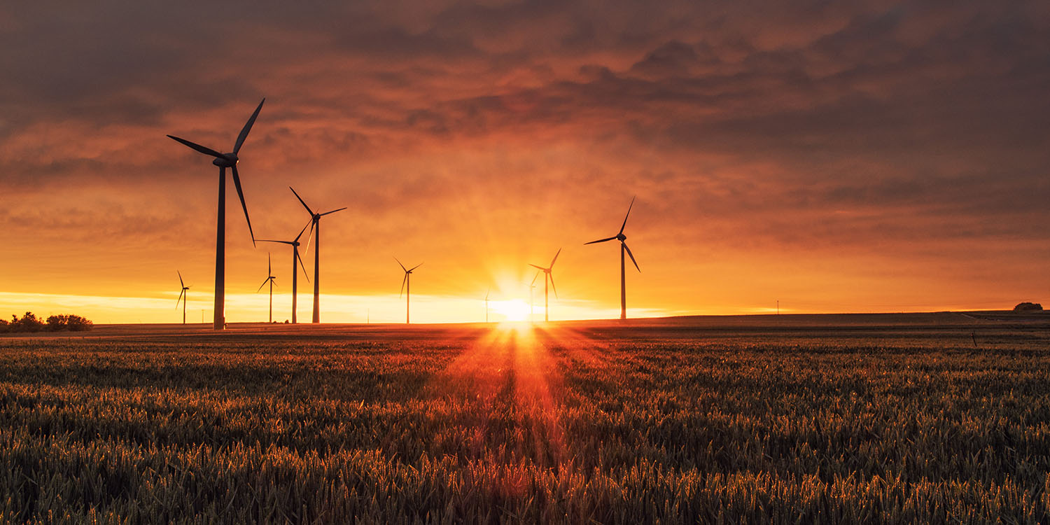 Apple's environmental claims examined | Windfarm at sunrise
