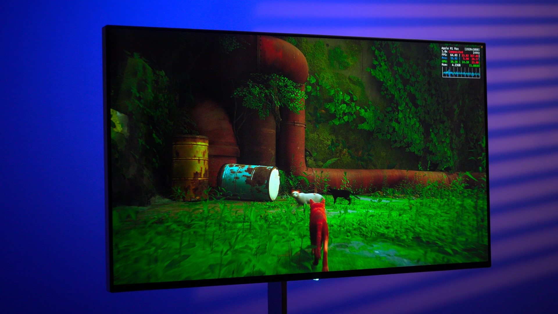 Running the game Stray on Dough Spectrum One