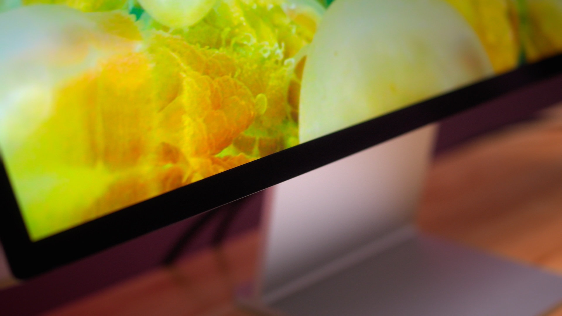 Studio Display Design vs Dough Spectrum One