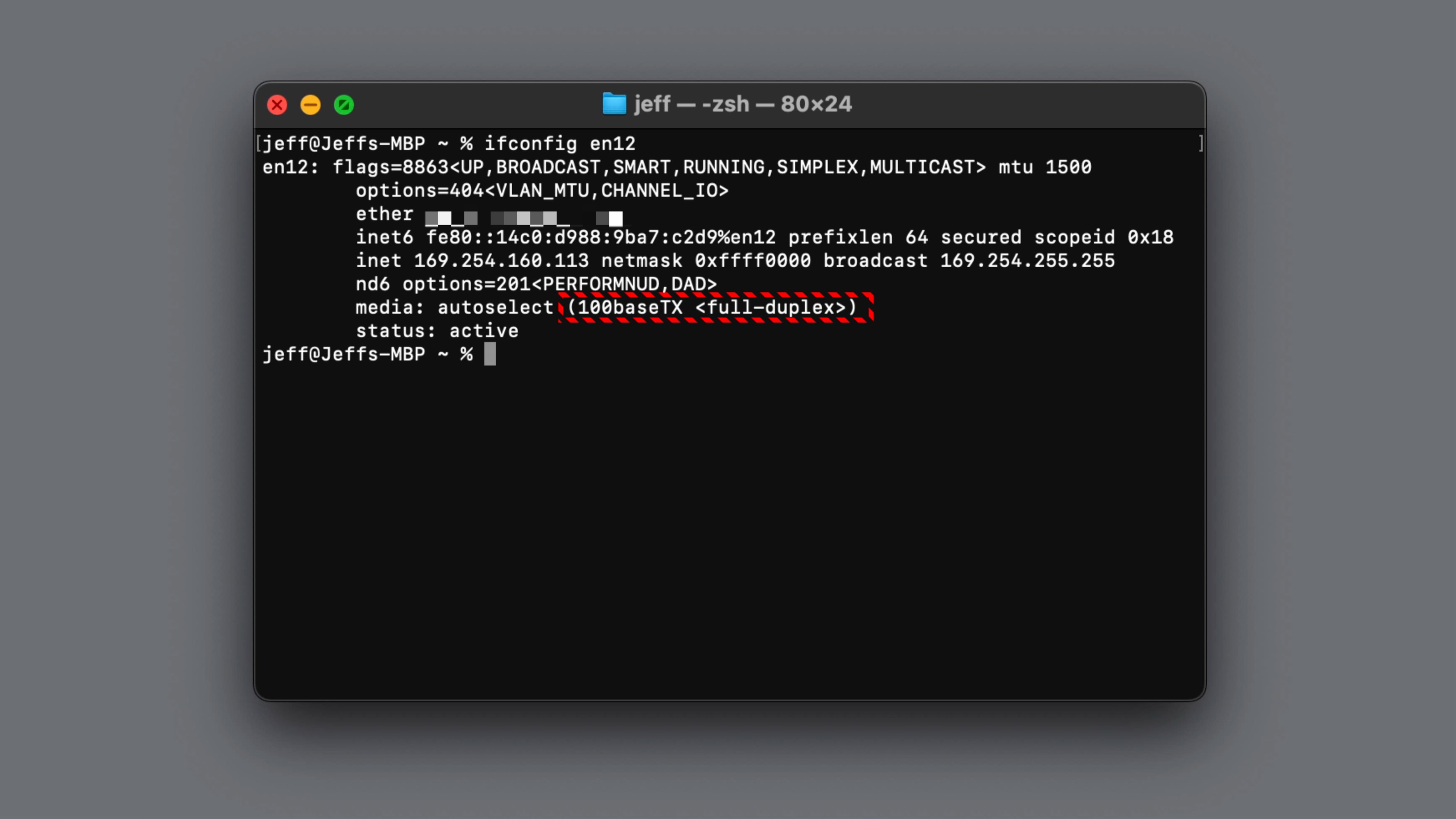Apple Vision Pro Developer Strap 100baseTX Ethernet connection