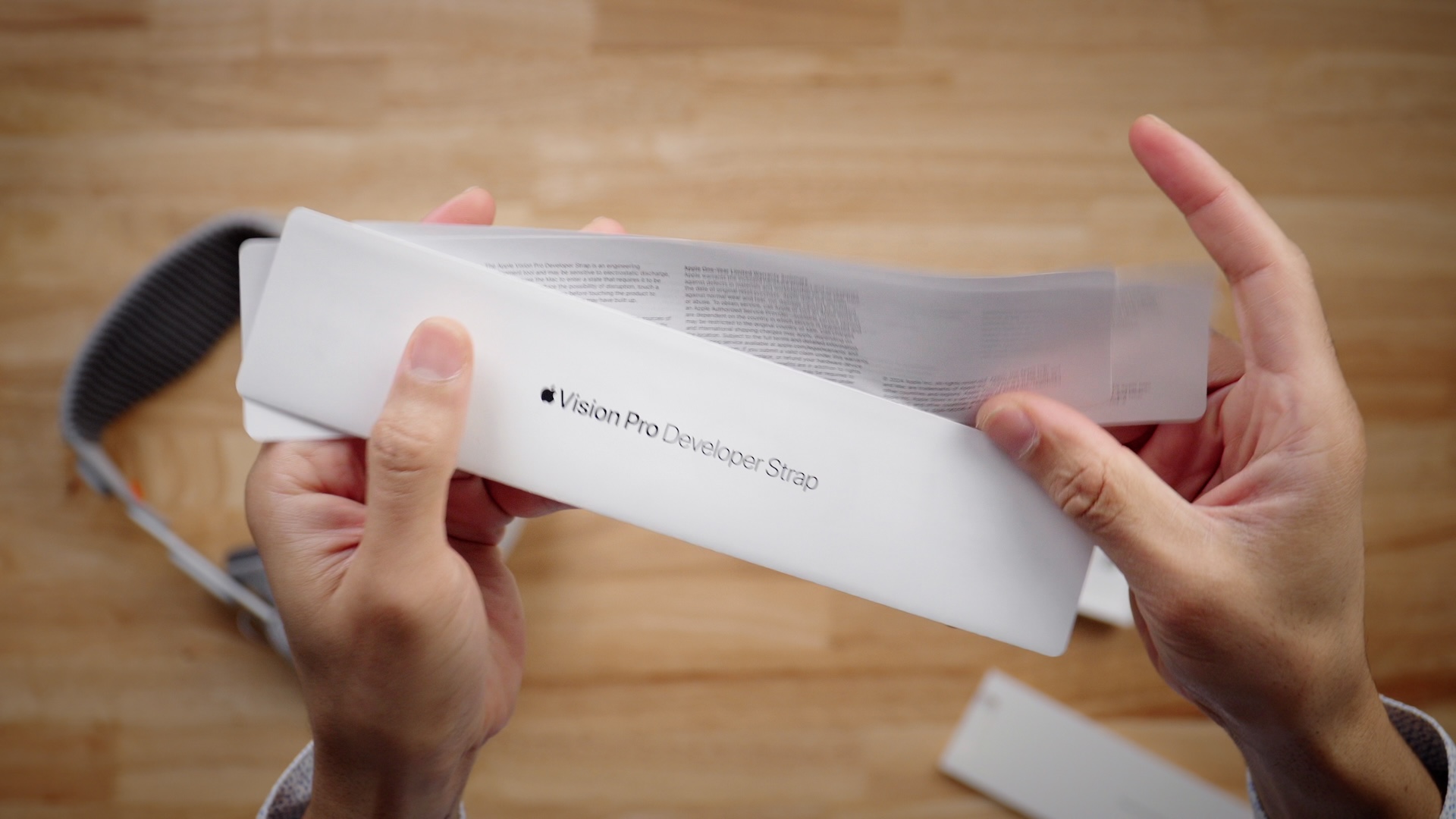 Apple Vision Pro Developer Strap documentation