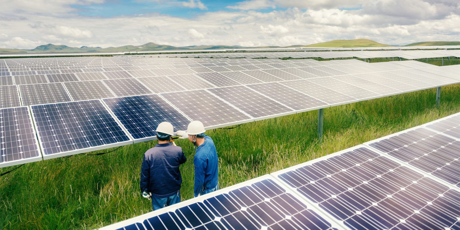 Tim Cook attends Chinese climate change meeting | Solar farm in China