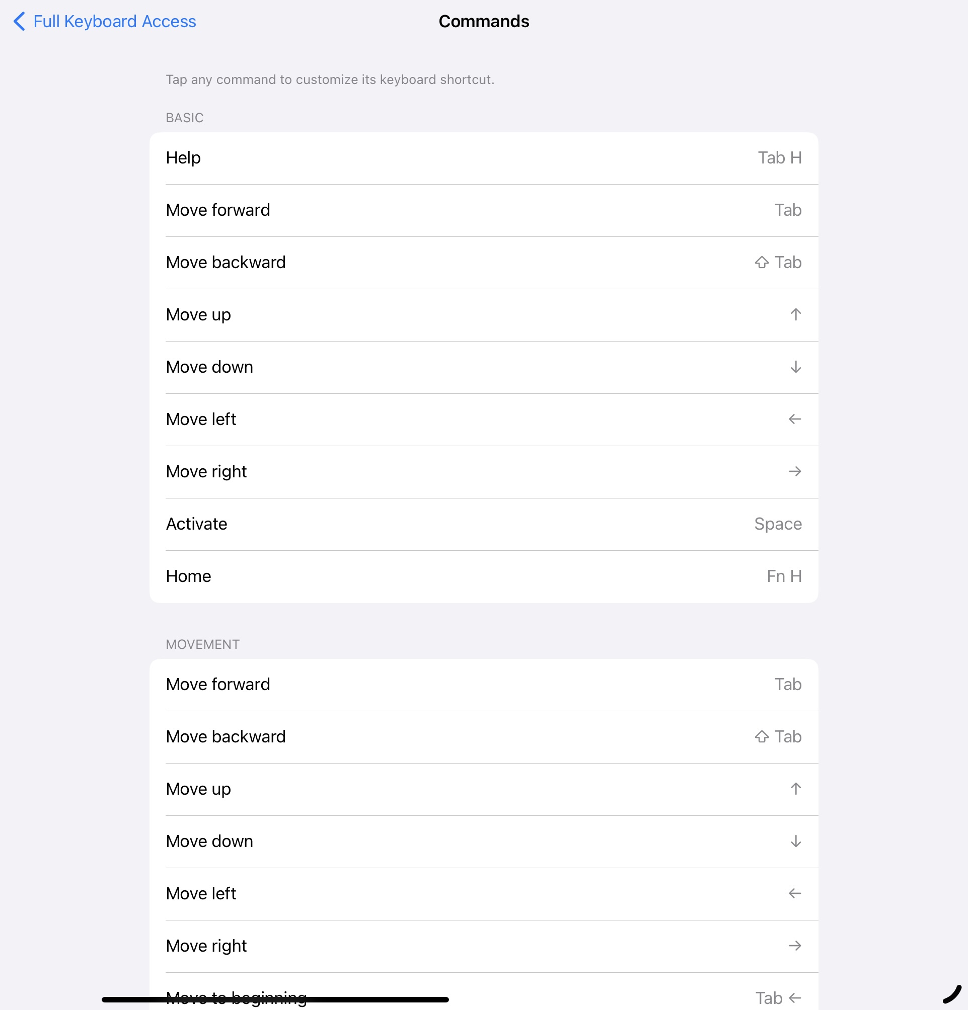 Full Keyboard Access command list iPad Pro