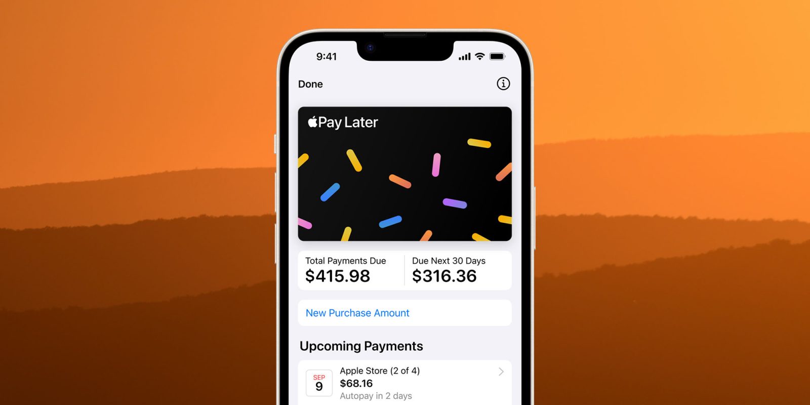 Apple Pay Later withdrawal | Screengrab from the service