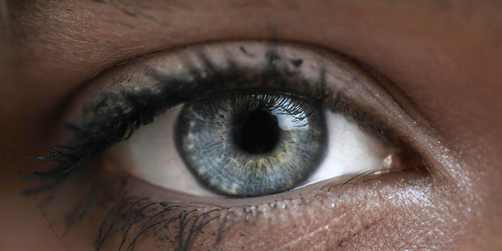 Governments back down on CSAM scanning | Close-up photo of eye