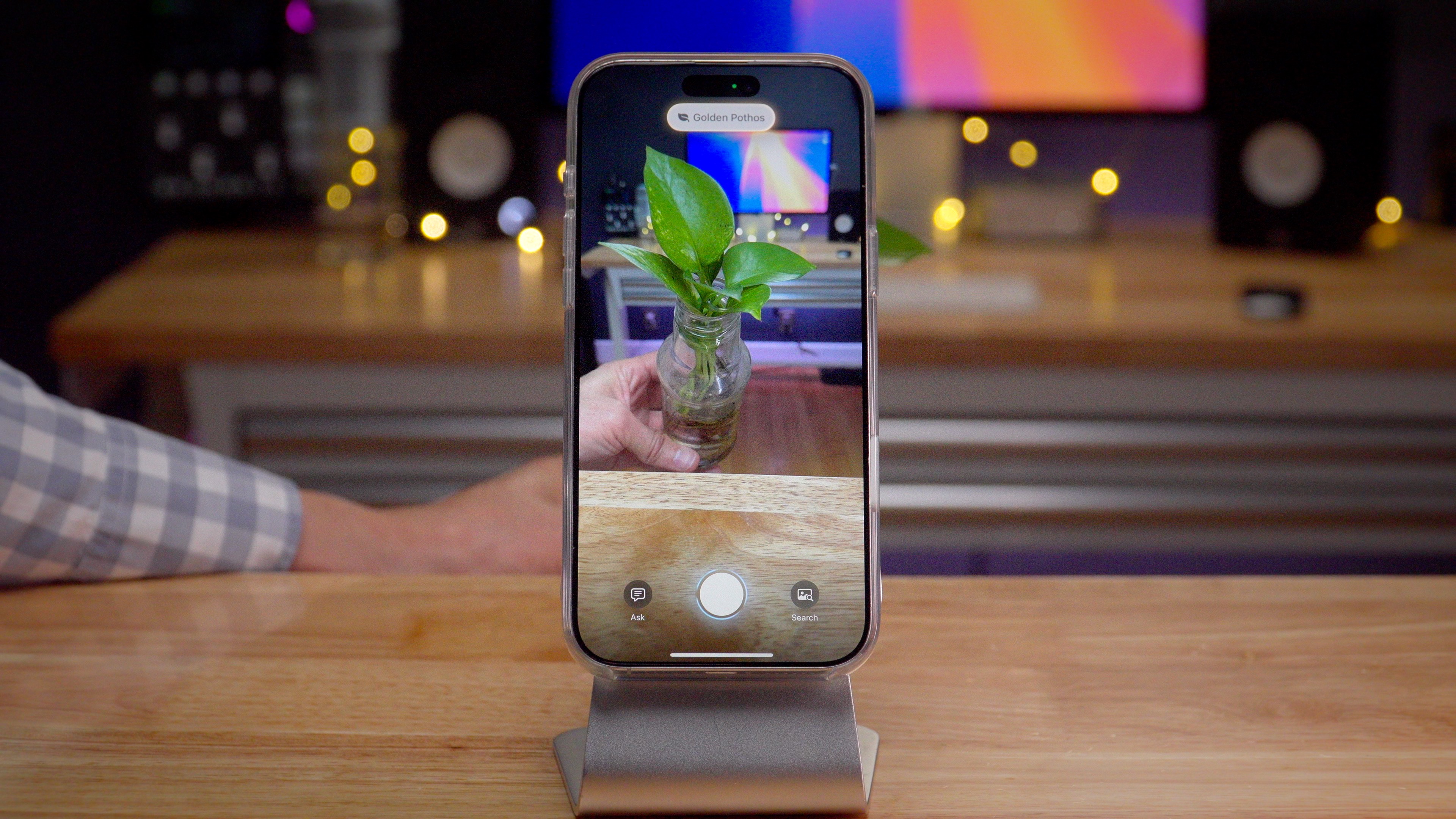 iOS 18.3 RC Visual Intelligence Update Plants and Animals