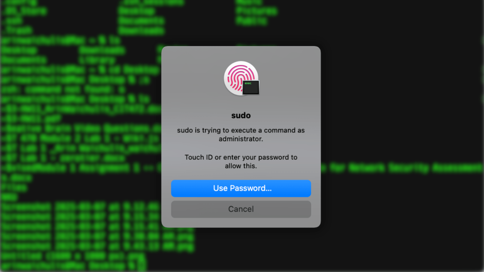 macos sudo terminal touch id