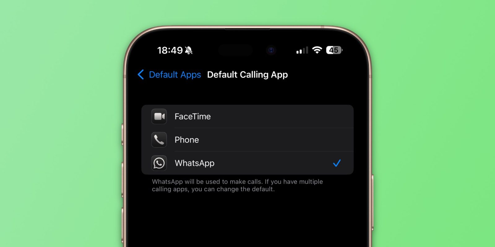 iPhone users can now set WhatsApp as their default calling and messaging app