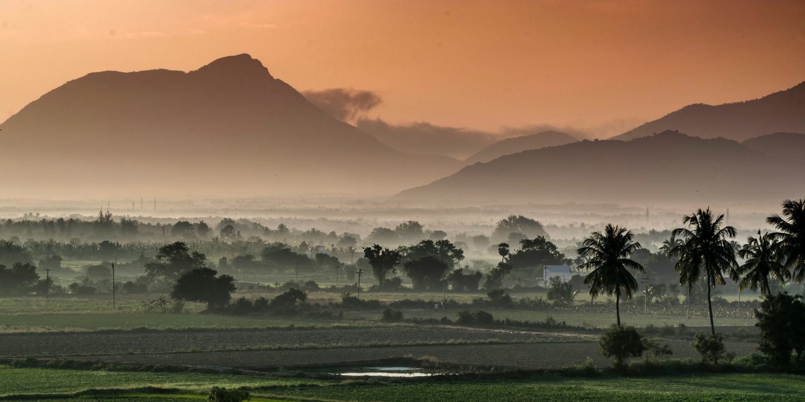 Most US iPhones are now made in India as Apple responds to tariffs | Photo of Indian landscape