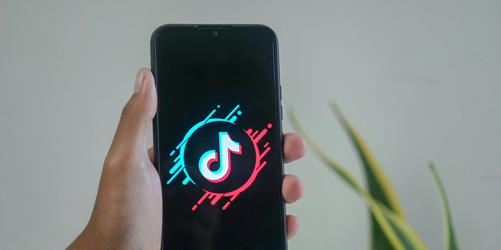 US TikTok users will get their own American-owned version of the app | Stylized version of the app graphic shown