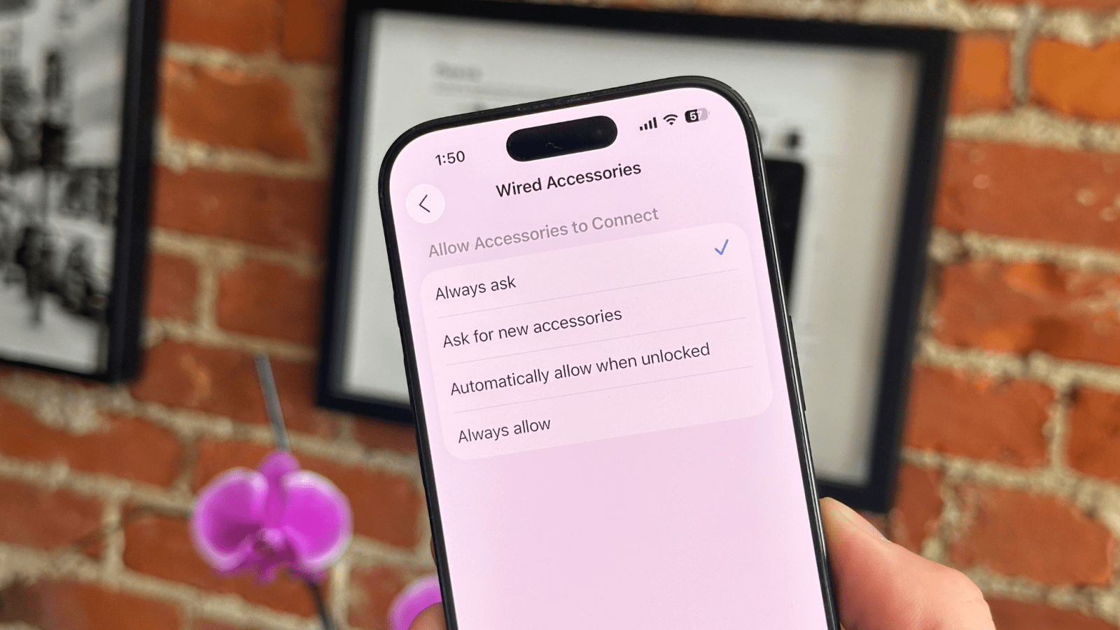 iphone security privacy wired accessories -arin security bite