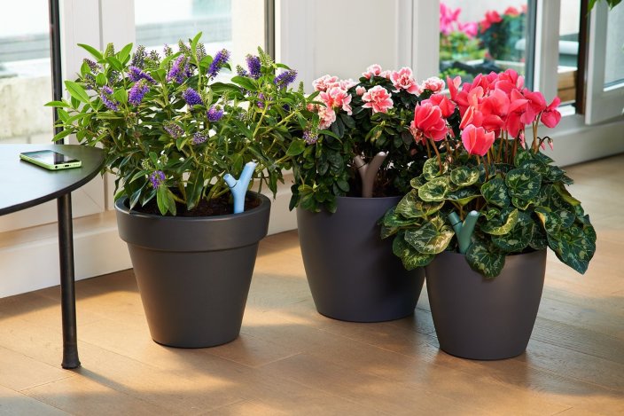 Parrot Flower Power smart plant sensor