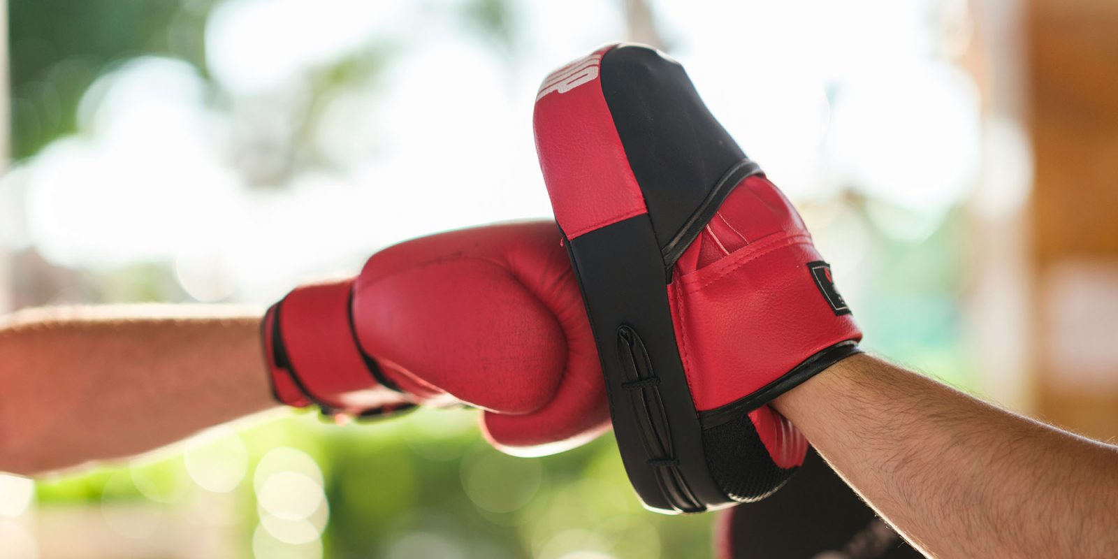 EU accuses Apple of putting users at risk –Apple accuses EU of hypocrisy | Boxers train for fight