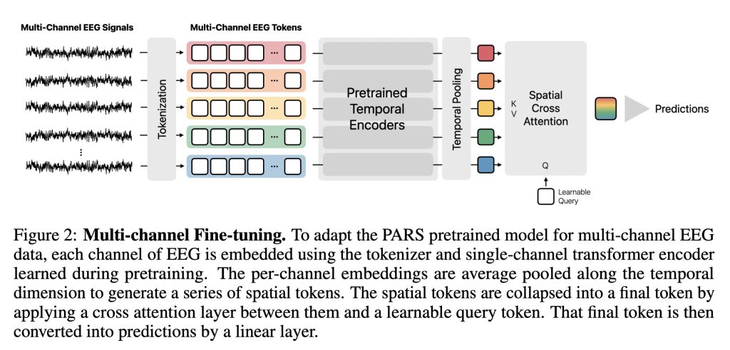 Image: Learning the relative composition of EEG signals using pairwise relative shift pretraining