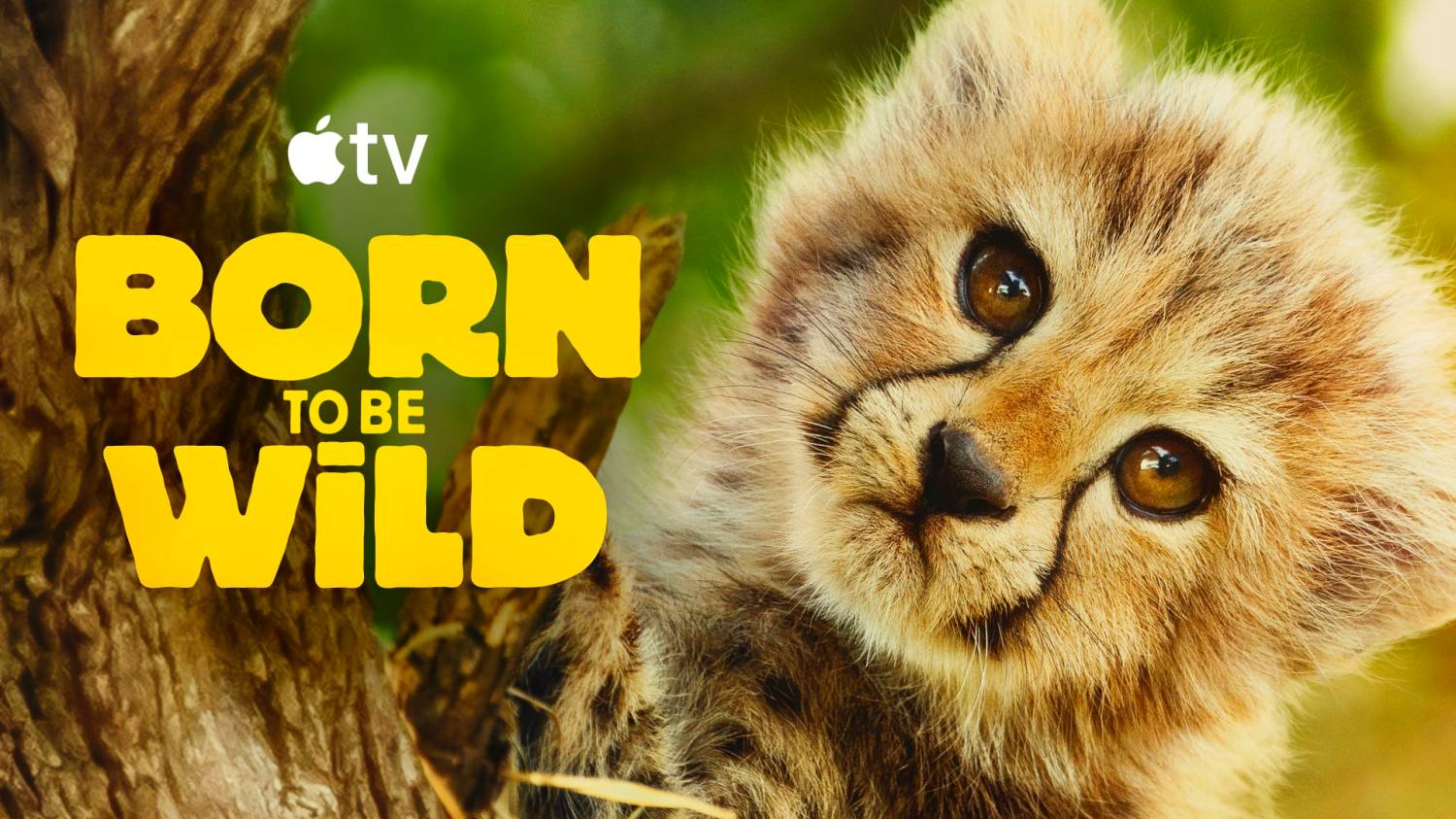 Born To Be Wild Apple TV Plus