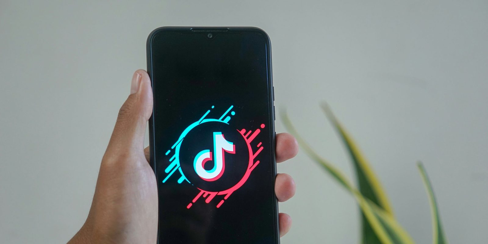 TikTok says it won't introduce end-to-end encryption for DMs | TikTok logo seen on a smartphone screen